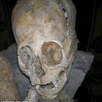Nephilin Skull