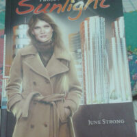 p.projeto-sunlilghtng