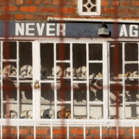 O Massacre no Templo Adventista em Kibuye: Fé, Ódio e Justiça Skulls of people who died during the 1994 Rwandan genocide are arranged and locked outside the St. Pierre Catholic Church, in Kibuye, Karongo city center, Karongi distric