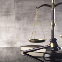 Law-Justice-Courtroom-Concept-Scale-Gavel-Constitution Law-Justice-Courtroom-Concept-Scale-Gavel-Constitution