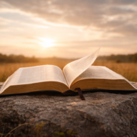 A REVELAÇÃO QUE RESPIRA LIVRE